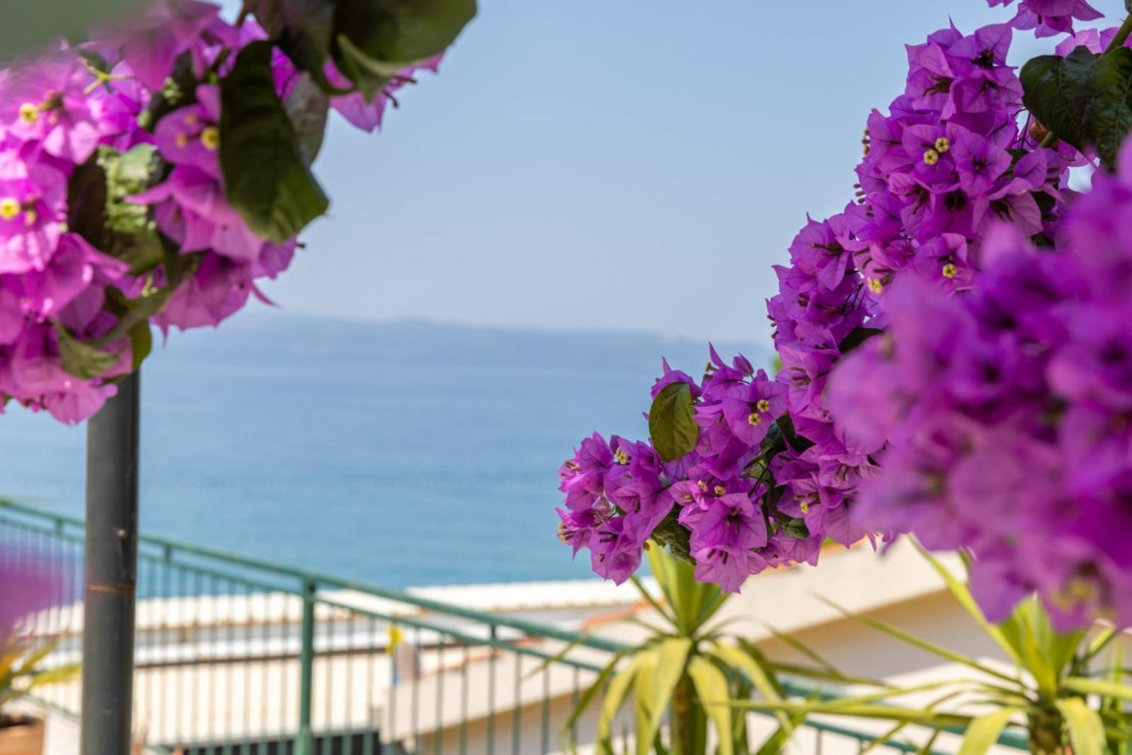 Beachfront Comfort Apartment Nives Tučepi Extérieur photo