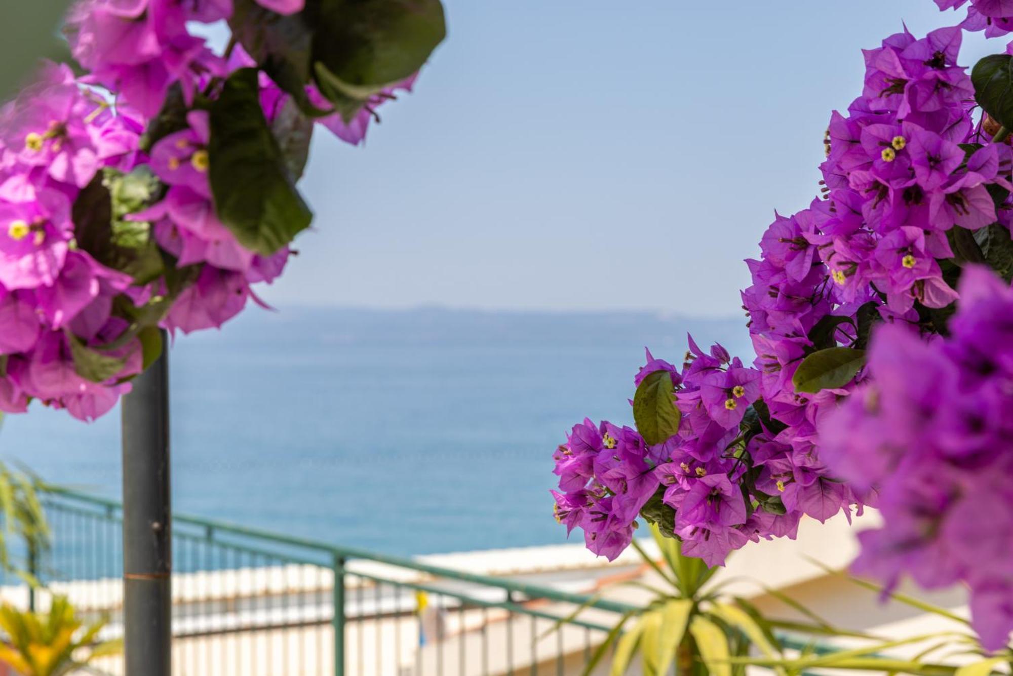 Beachfront Comfort Apartment Nives Tučepi Extérieur photo