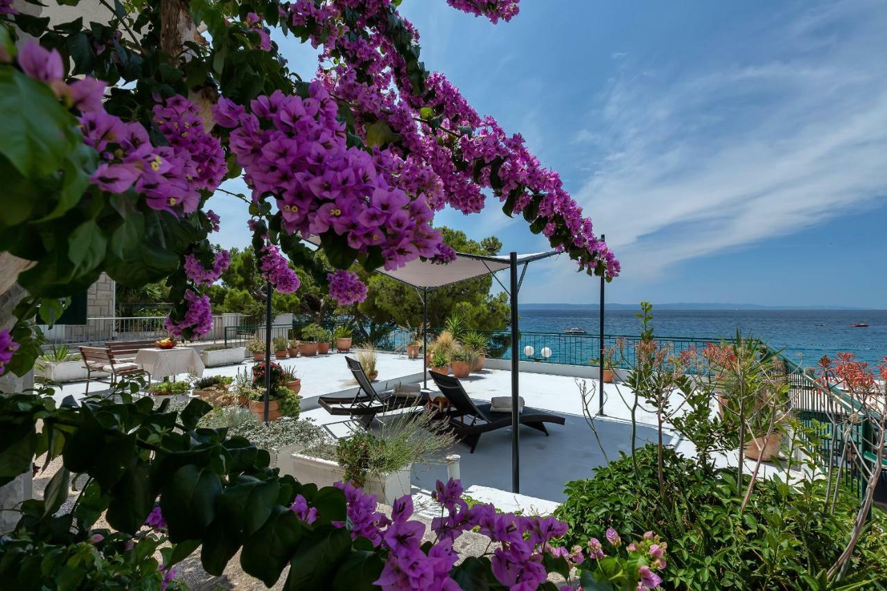 Beachfront Comfort Apartment Nives Tučepi Extérieur photo